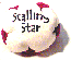 Stalling Star sand filled footbag