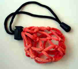 Pouchee footbag carrier